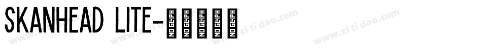 SkanHead Lite字体转换